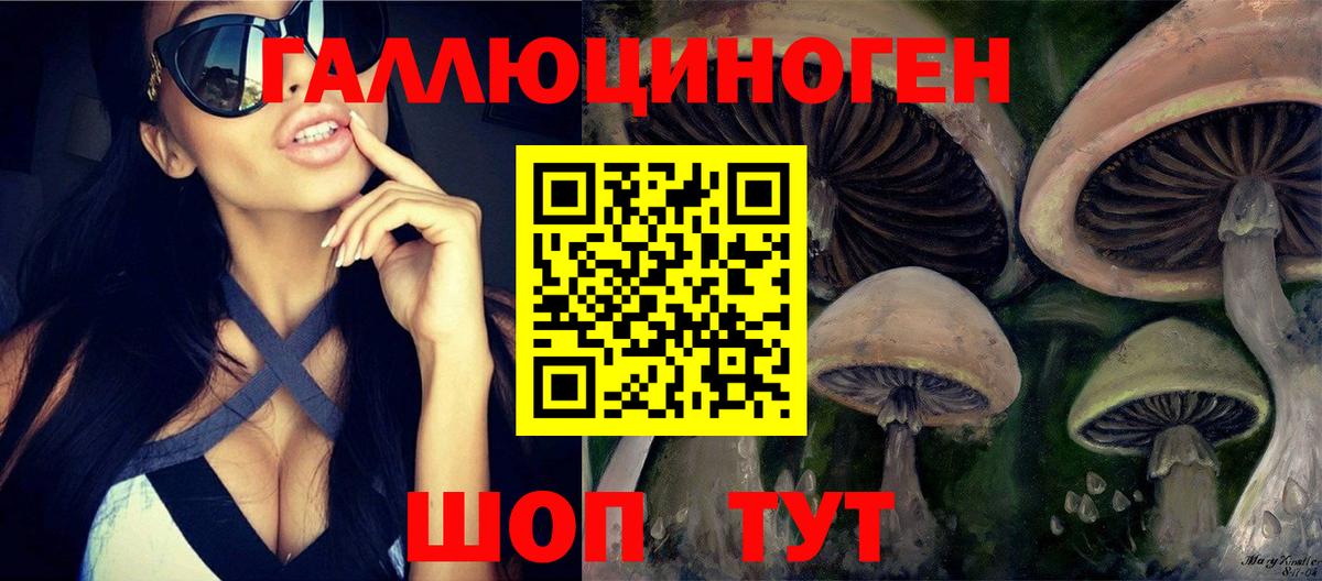 Галлюциногенные грибы Magic Shrooms  Псилоцибиновые грибы прущие грибы  Менделеевск  Вход с VPN 